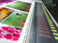 IMPRESIÓN URGENTE EN LA CDMX